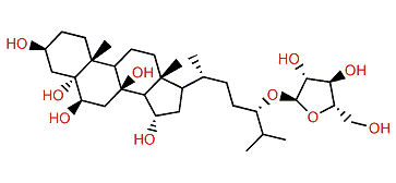 Pentaceroside B